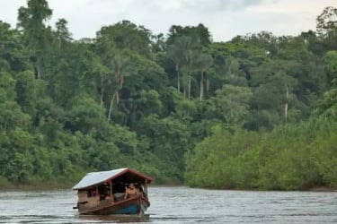 আদিবাসী গোষ্ঠীকে নিয়ে সংবাদ প্রকাশ, নিউইয়র্ক টাইমসের বিরুদ্ধে মামলা