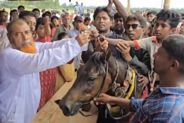 গোপালগঞ্জে ঘোড়দৌড় দেখতে দর্শকের উপচে পড়া ভিড়