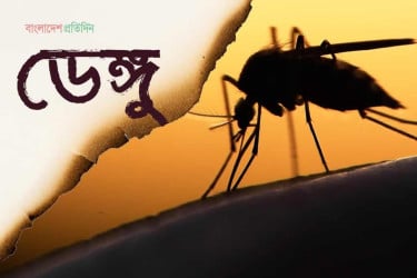 ডেঙ্গু আক্রান্ত হয়ে হাসপাতালে ভর্তি আরও ৯০ জন