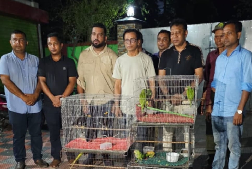 কুষ্টিয়ায় দুই দফায় ১৭ দেশি পাখি উদ্ধার, ১২টি হস্তান্তর