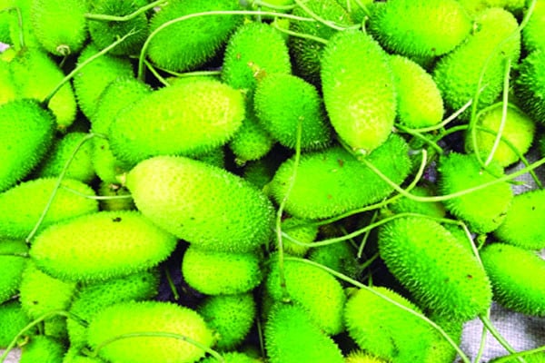 কাঁকরোলের গুণাগুণ