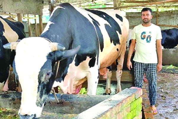 নজরকাড়া বাদশার নাশতা আপেল আঙুর!