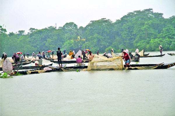 বৃষ্টির অপেক্ষায় হালদার ডিম সংগ্রহকারীরা