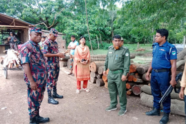 সাতক্ষীরায় তিন করাত কলে টাস্কফোর্সের অভিযান, ৪৭ লাখ টাকার কাঠ জব্দ