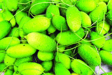 কাঁকরোলের গুণাগুণ