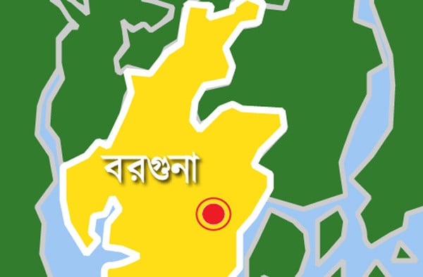 তালতলী সরকারি কলেজ ছাত্রদলের কমিটি ঘোষণা, পদবঞ্চিতদের বিক্ষোভ