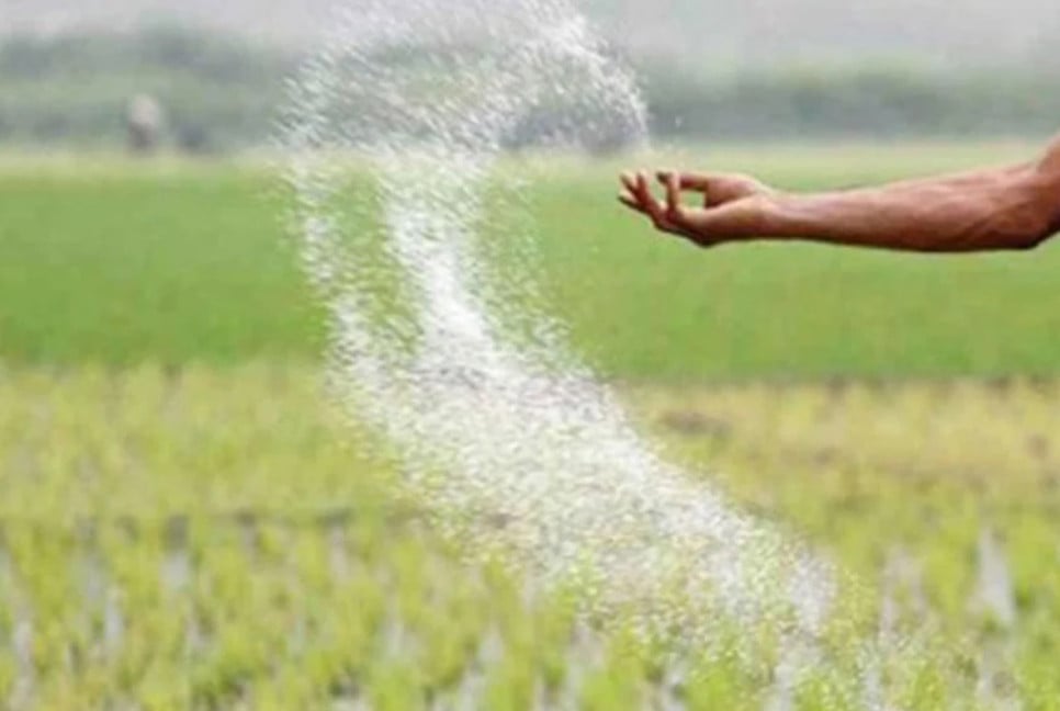 ৪৮৪ কোটি টাকার সার কিনবে সরকার