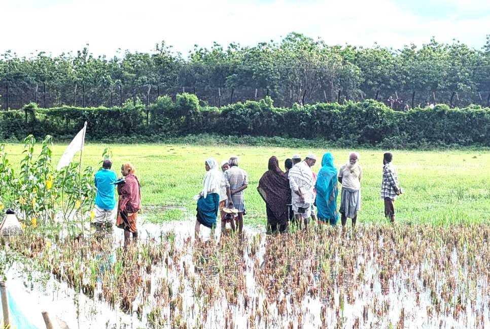 কুড়িগ্রাম সীমান্তে ৩৮ নারী-পুরুষকে পুশইন, বিজিবির বাধা