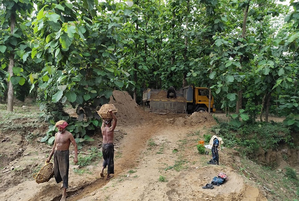 ফেনীতে নিষেধাজ্ঞা অমান্য করে মুহুরী নদীর বালু উত্তোলন
