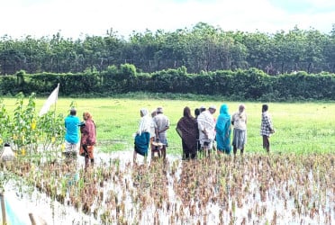 কুড়িগ্রাম সীমান্তে ৩৮ নারী-পুরুষকে পুশইন, বিজিবির বাধা
