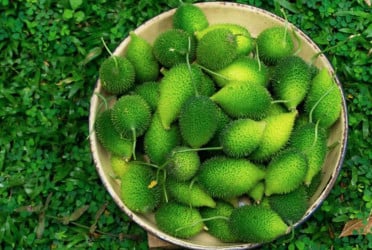কাঁকরোলের গুণাগুণ