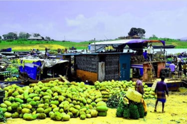 পাহাড়ে মৌসুমী ফলের বাম্পার ফলন