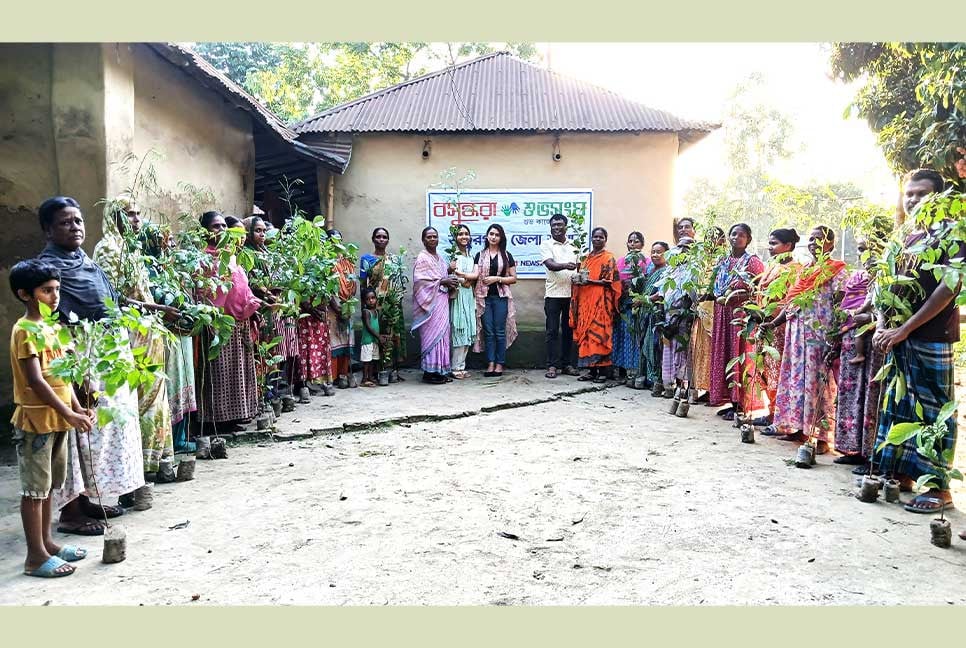 ঠাকুরগাঁওয়ে ক্ষুদ্র নৃগোষ্ঠী ও সুবিধা বঞ্চিতদের মাঝে শুভসংঘের ফলজ ও বনজ গাছের চারা বিতরণ