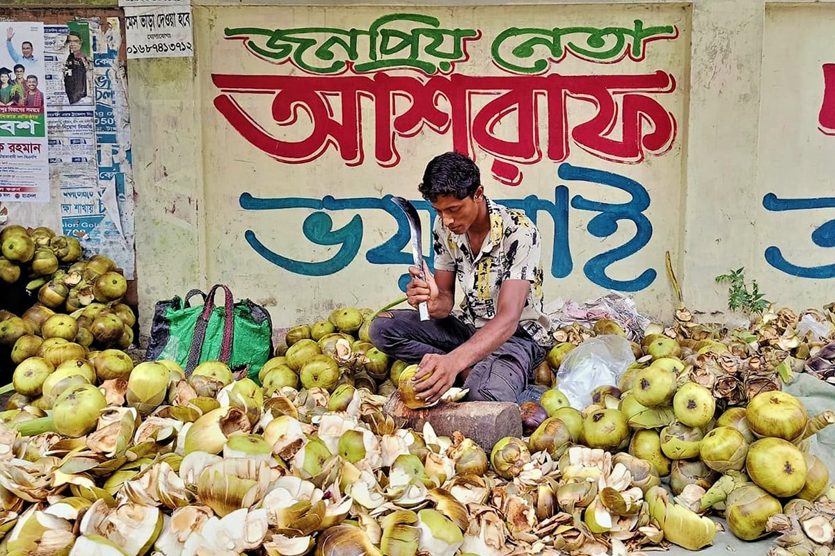 দুই টাকার তালের শাঁস টাঙ্গাইলের বাজারে ৩০ টাকায় বিক্রি!