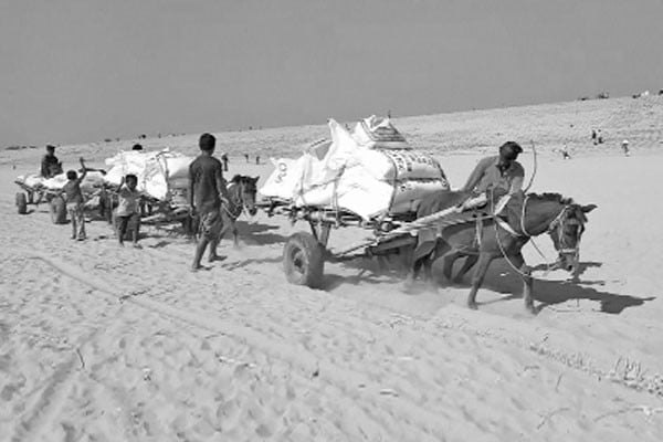 ঘোড়ার গাড়িই একমাত্র ভরসা