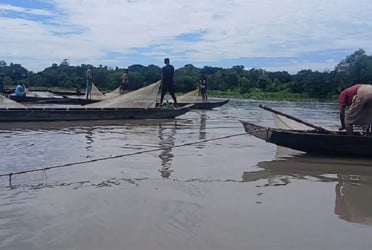 হালদায় ‘নমুনা ডিম’ ছেড়েছে মা মাছ, বৃষ্টি হলে ছাড়তে পারে পুরোদমে