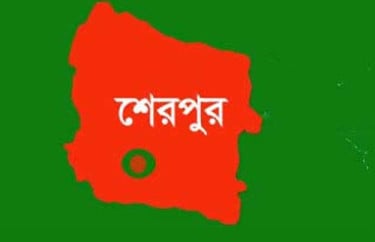 শেরপুরে সাংবাদিকদের ওপর হামলা, ইউপি চেয়ারম্যানসহ ৫৪ জনের বিরুদ্ধে মামলা