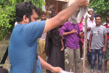 কুষ্টিয়ায় সাপের কামড়ে দুইজনের মৃত্যু
