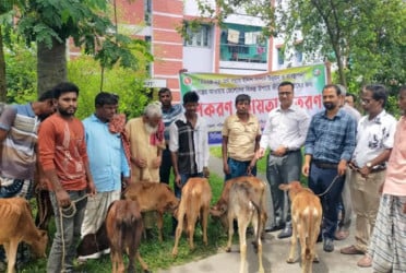 কুমারখালীতে ১৬ জেলের মাঝে বকনা বাছুর বিতরণ