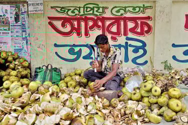 দুই টাকার তালের শাঁস টাঙ্গাইলের বাজারে ৩০ টাকায় বিক্রি!