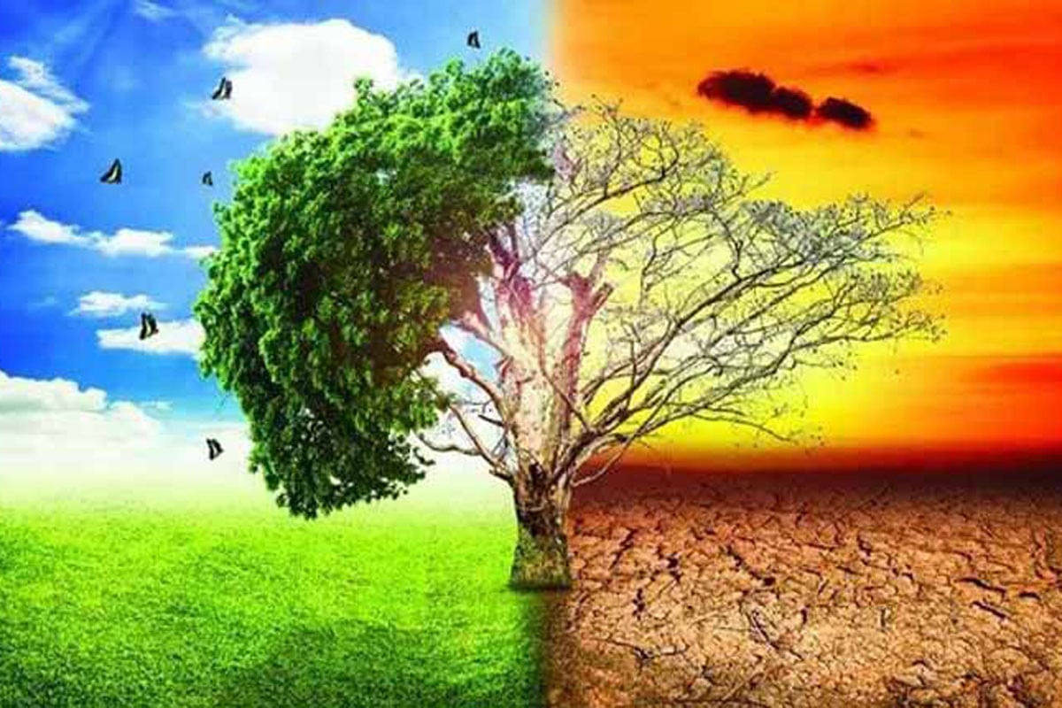 প্রকল্পে ব্যয় বিতর্ক: ৫৯০ কোটির মধ্যে ১১৬ কোটি পরামর্শ খাতে