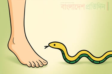 ভাঙ্গায় সাপের কামড়ে কৃষকের মৃত্যু