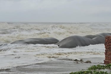 নিম্নচাপে প্লাবিত কক্সবাজার, মৃত্যু ১