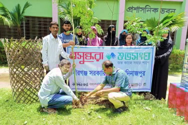 বীরগঞ্জে বসুন্ধরা শুভসংঘের উদ্যোগে বৃক্ষরোপণ কর্মসূচি