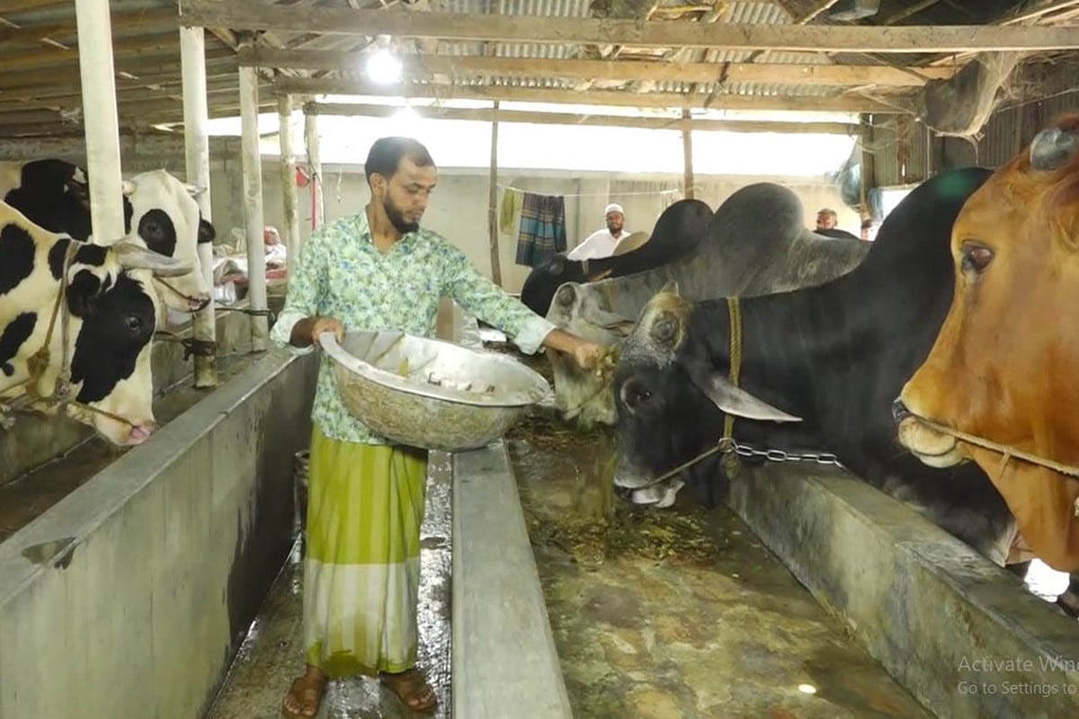 পাবনায় কোরবানির জন্য প্রস্তুত সাড়ে ৬ লাখ পশু