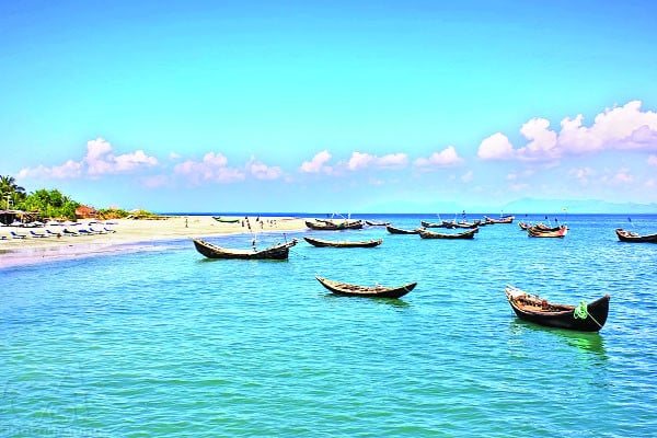 হারিয়ে যাচ্ছে দুর্লভ জীববৈচিত্র্য