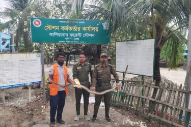 সুন্দরবনের অজগর লোকালয়ে উদ্ধারের পর অবমুক্ত