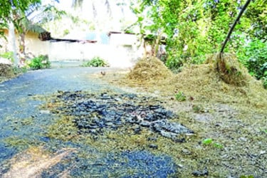 হাতের টানেই উঠে যাচ্ছে কার্পেটিং