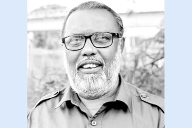 বাণিজ্যিক আঙুর চাষে সাফল্য