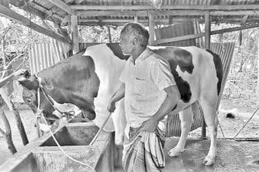 ‘ঈশা খাঁ’কে নেওয়া যায় না বাজারে