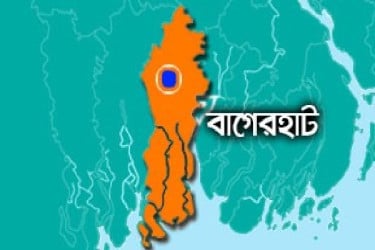 ছেলের বিরুদ্ধে মাকে হত্যার অভিযোগ