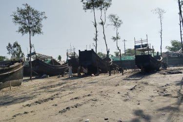 কুতুবদিয়ায় অবাধে চলছে ঝাউবন নিধন, হুমকির মুখে সৈকত তীর