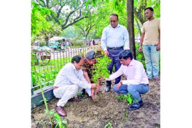 প্রাণ ফিরে পেল রমেকের ভেষজ বাগান
