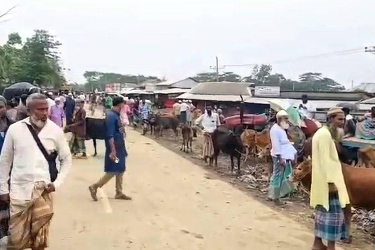 কলাপাড়ায় মহাসড়ক দখল করে বসানো পশুর হাট বন্ধ