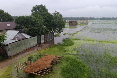 নেত্রকোনায় নদ-নদীর পানি বিপদসীমার নীচে, জলাবদ্ধতায় বিপাকে হাজারো মানুষ