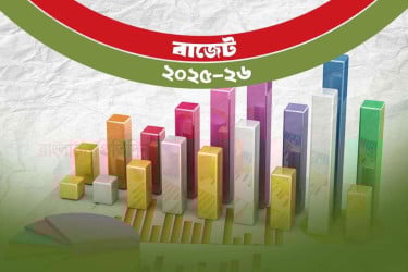 বিদ্যুতের দাম আপাতত না বাড়ানোর সিদ্ধান্ত: অর্থ উপদেষ্টা