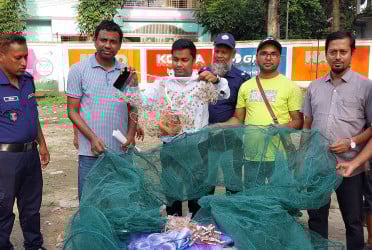 সিংড়ায় কারেন্ট জাল জব্দ, ব্যবসায়ীর জরিমানা