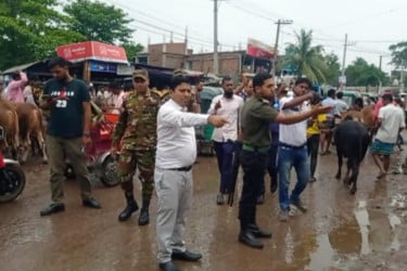 সরাইলে অবৈধ পশুর হাট বন্ধ করল প্রশাসন