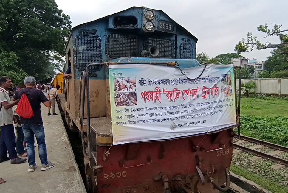 জামালপুর থেকে 'ক্যাটল' ট্রেনে কোরবানির ৮০০ গরু এল ঢাকায়