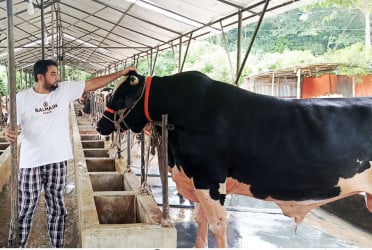চাঁদপুরে হাজী মোজাম্মেল এখন সফল খামারি