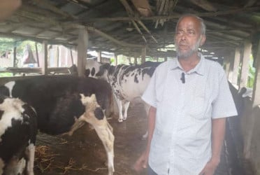 নোয়াখালীতে গরুর খামারে অস্ত্র ঠেকিয়ে ডাকাতি