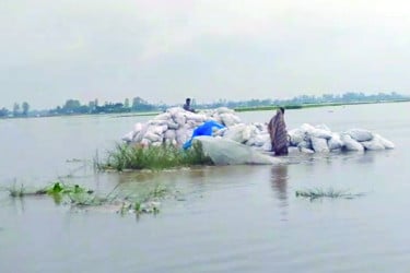 টাঙ্গাইলে ডুবছে নিম্নাঞ্চল ভাঙছে নদীতীর