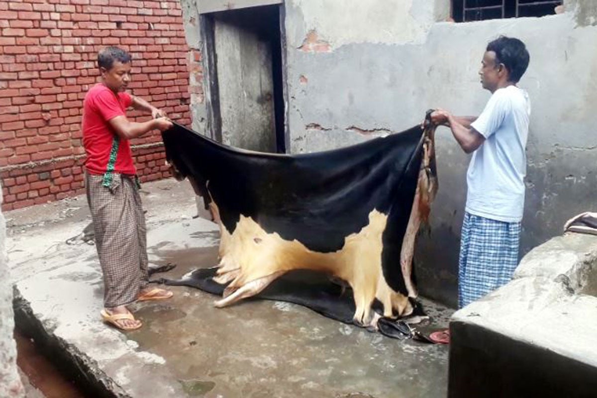দিনাজপুরে চামড়া ব্যবসায়ীদের বকেয়া পাওনা নিয়ে অনিশ্চয়তা