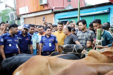 পশুর হাটে প্রতারণা ও জাল টাকা রোধে সতর্ক ফেনী পুলিশ
