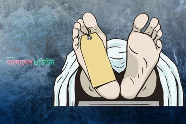 ঝড়ে গাছ পড়ে নারীর মৃত্যু