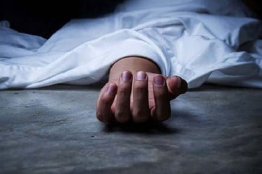 সোনারগাঁয়ে সাপের দংশনে যুবকের মৃত্যু